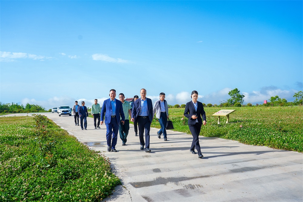 202405311717159206724072.jpg DSC05910-1.jpg