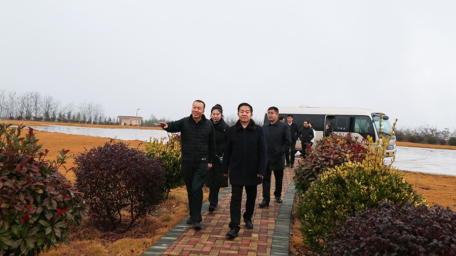 202406261719381804829498.jpg 45-2020年12月,省高級人民法院黨組成員、副院長任建國蒞臨金徽股份調研知識產權司法保護工作。.jpg