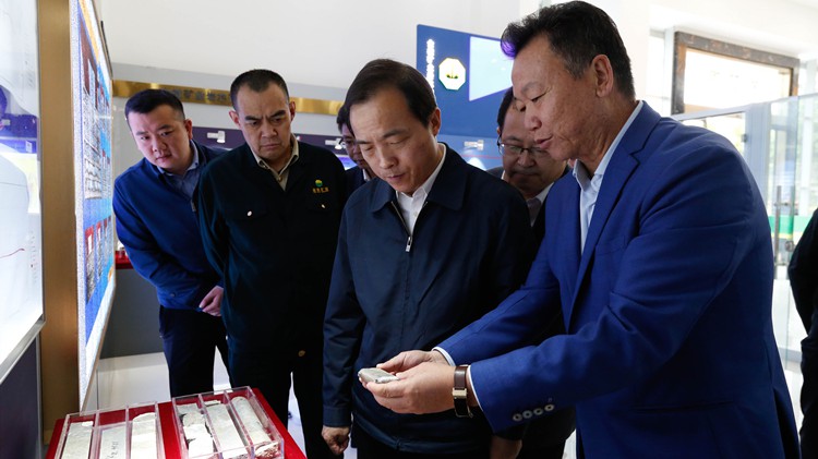 省委常委、副省長周學文蒞臨金徽股份調研綠色礦山建設工作