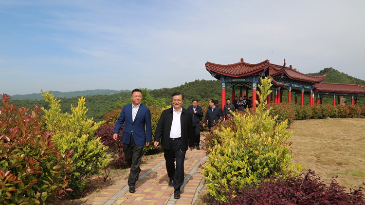 省人民檢察院黨組書記、檢察長朱玉調研金徽股份